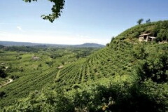 カルティッツェの急斜面