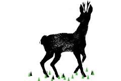 ベステイェウーテ