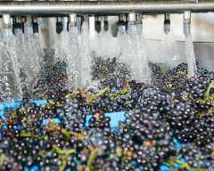 カデルボスコ 洗浄システム