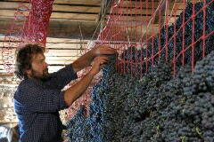 アパッシメント作業風景