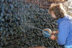 アパッシメント作業風景2