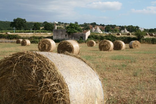 プーリア　チェントラーレ