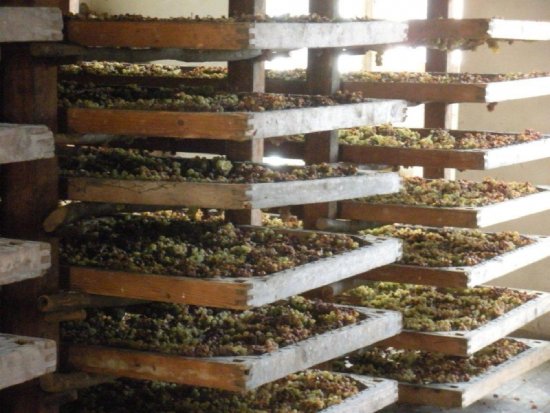 サルヴェッタ陰干し風景