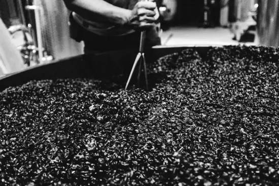 ダニエーレ ピッチニン圧搾