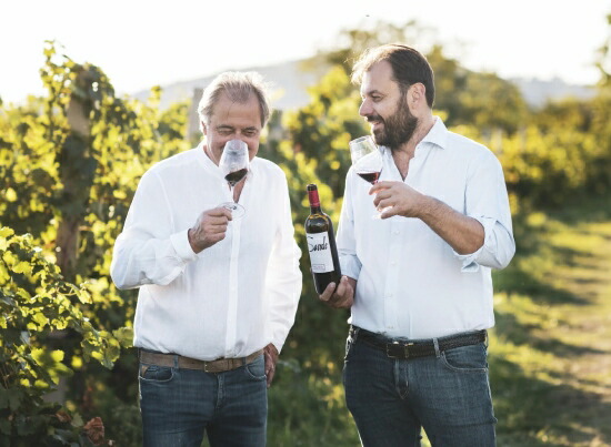 ファゾーリ オーナー