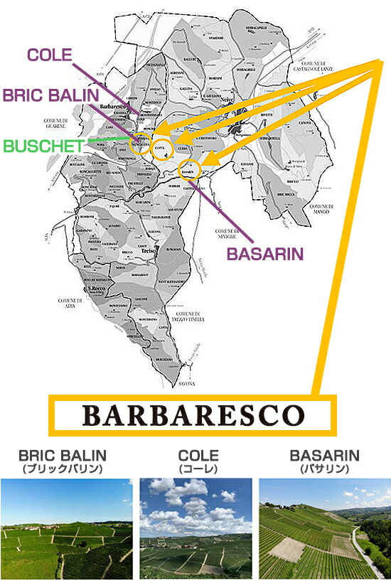 モッカガッタ　クリュ バルバレスコ 畑