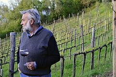 ブドウ畑と生産者