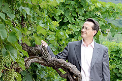 ブドウの樹とオーナー