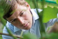 エノロゴのハラルド シュラフル