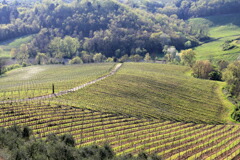 カーザディモンテのパノラマ