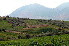 ラ グアルディエンセのある町