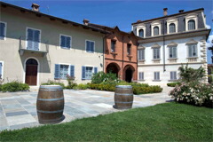 カヴィオラのカンティーナ