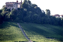 城の真下に広がるバローロソットカステッロの畑