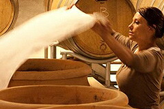 エリザベッタと醸造用のアンフォラ