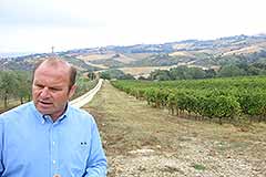 ブドウ畑と生産者