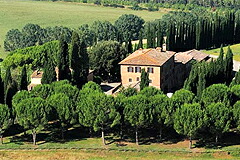 アルテジーノの畑とカンティーナ