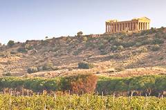 カニカッティのアグリジェントの畑