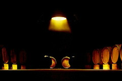 地下ワインセラー