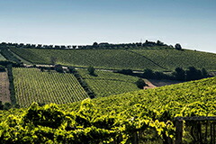 コッリテラマーネ