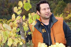 ドメニコカペッチ