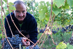 畑とユーリフィオーレ氏