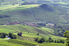 チャボットベルトンの畑