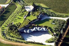 カ マルカンダ ガヤ カンティーナ