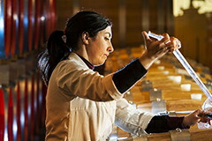 マリアカレッラ