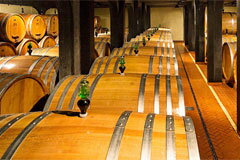 イルポッジョーネ熟成庫