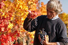 ミケーレパスケロ氏