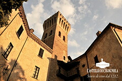 チゴニョーラ城