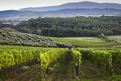 ビッビアーノ風景