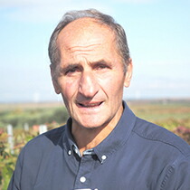 カーサマスキート