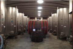 ヴィッラ ブッチの樽