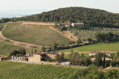 ペルティマリの畑とカンティーナ