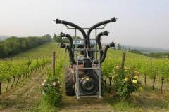 ムゼッラ畑と噴霧器