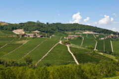 ブッシア ソプラーナ