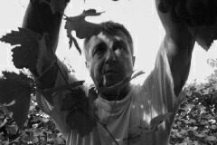 ソレンギ ガエターノ