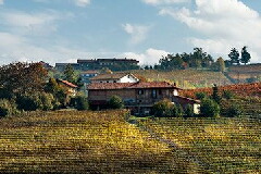 カシーナ グラモレーレ