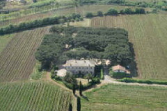 コンテ ザンドッティ