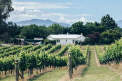 アストロラーベ畑