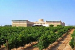 ボデガス バルカルロス