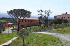 パクラヴァン パピ