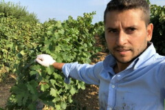 インペラトーレ