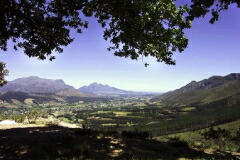 レオパーズ・リープ