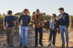 ビーニャ デル ペドリガル