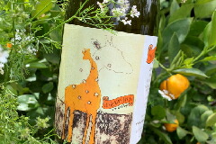 スモールフライ　イメージ