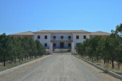 ドミニオ デ プンクトゥン