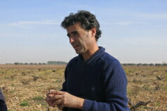 フリアン ルイス