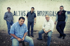 アルトス ラス オルミガス